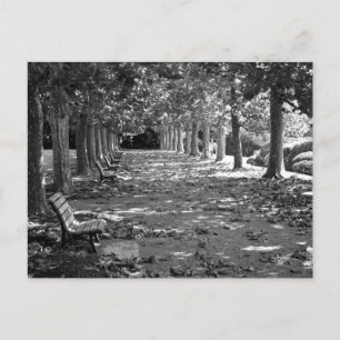 Herfst in het park: Tokio Briefkaart