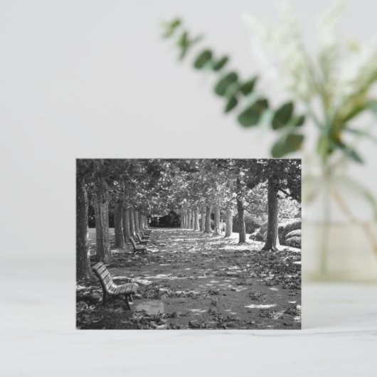 Herfst in het park: Tokio Briefkaart (Staand voorkant)