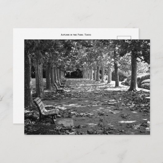 Herfst in het park: Tokio Briefkaart (Voorkant / Achterkant)