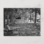 Herfst in het park: Tokio Briefkaart (Voorkant)