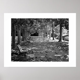Herfst in het park: Tokio Poster