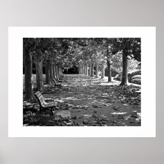 Herfst in het park: Tokio Poster (Voorkant)