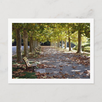 Herfst in het park: Tokyo Briefkaart