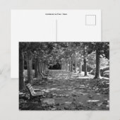 Herfst in het park: Tokyo Briefkaart (Voorkant / Achterkant)