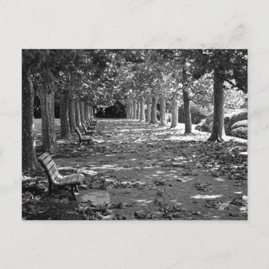 Herfst in het park: Tokyo Briefkaart (Voorkant)