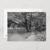 Herfst in het park - zwart-wit briefkaart (Voorkant / Achterkant)