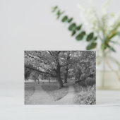 Herfst in het park - zwart-wit briefkaart (Staand voorkant)