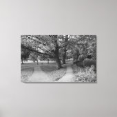 Herfst in het park - zwart-wit canvas afdruk (Voorkant)