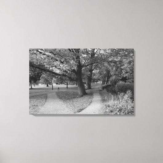 Herfst in het park - zwart-wit canvas afdruk (Voorkant)