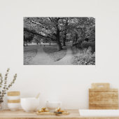 Herfst in het park - zwart-wit poster (Keuken)