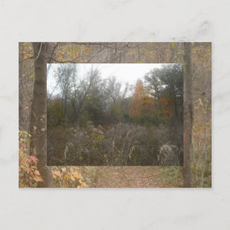 herfst in het wild briefkaart