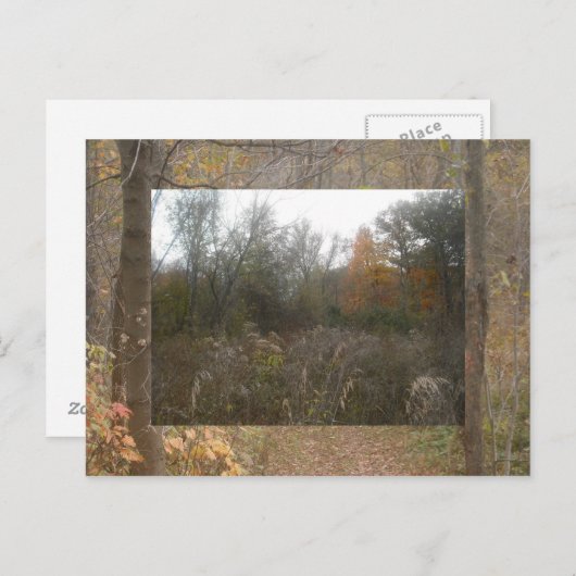 herfst in het wild briefkaart (Voorkant / Achterkant)