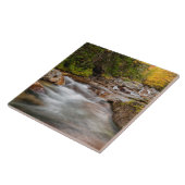 Herfst in Jefferson Brook, New Hampshire Tegeltje (Zijkant)