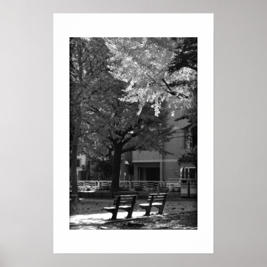 Herfst in Kiyosumi Park: Tokio Poster (Voorkant)
