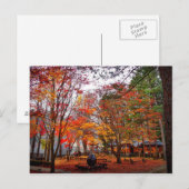 Herfst in Korea Briefkaart (Voorkant / Achterkant)