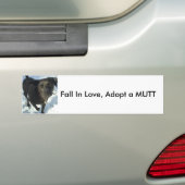 Herfst in liefde, adopteer een MUTT Bumpersticker (Op auto)