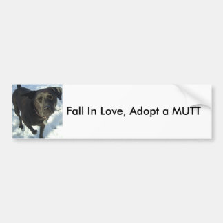 Herfst in liefde, adopteer een MUTT Bumpersticker