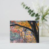 Herfst in Love/Autumn Colors Briefkaart (Staand voorkant)