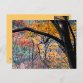 Herfst in Love/Autumn Colors Briefkaart (Voorkant / Achterkant)