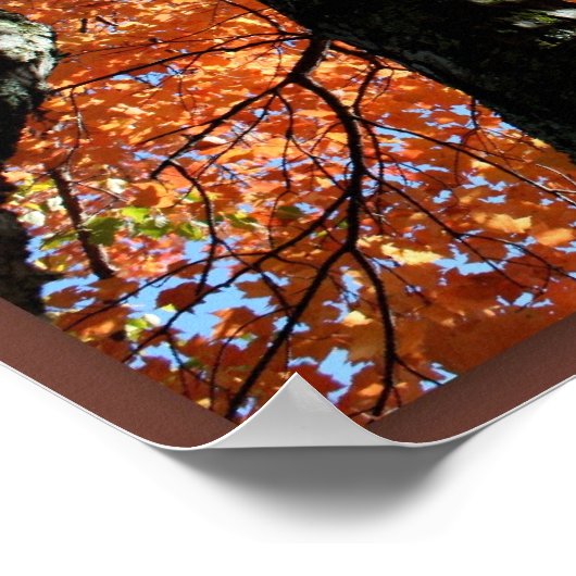 Herfst in Love Wisconsin Poster (Hoek)