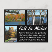 Herfst in Maine Briefkaart (Voorkant)