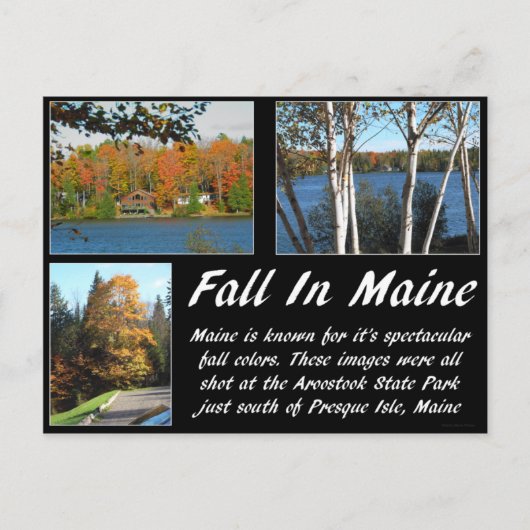 Herfst in Maine Briefkaart (Voorkant)