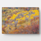 Herfst in Michigan Fotoplaat (voorkant)