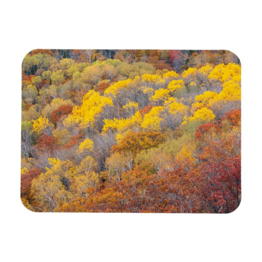 Herfst in Michigan Magneet (Horizontaal)