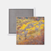 Herfst in Michigan Magneet (Voorkant / Achterkant)