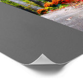 Herfst in Missouri Poster (Hoek)