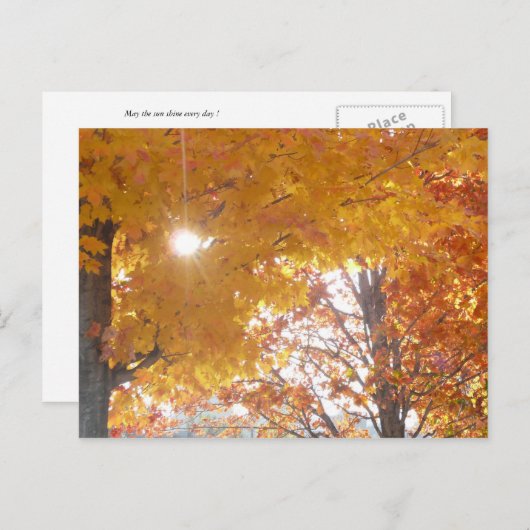 Herfst in Montreal Briefkaart (Voorkant / Achterkant)