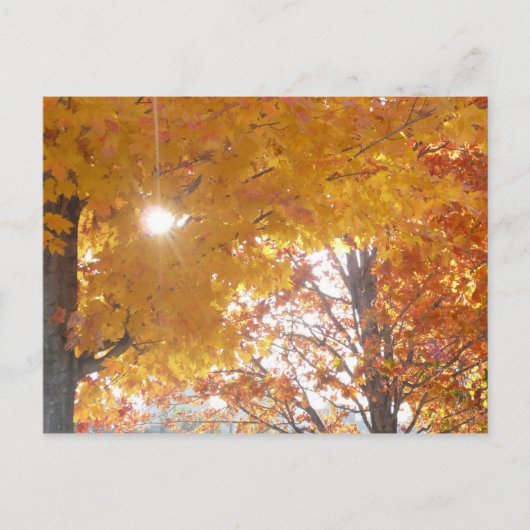 Herfst in Montreal Briefkaart (Voorkant)