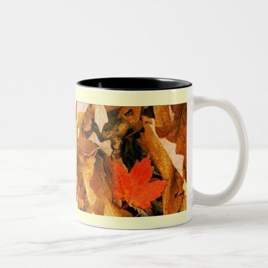 Herfst in najaar laat Mok (Rechts)
