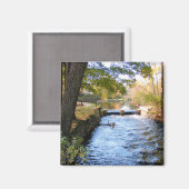 Herfst in New England 47 ~ magneet (Voorkant / Achterkant)