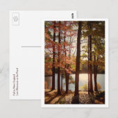 Herfst in New England Briefkaart (Voorkant / Achterkant)