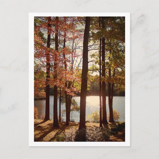 Herfst in New England Briefkaart (Voorkant)
