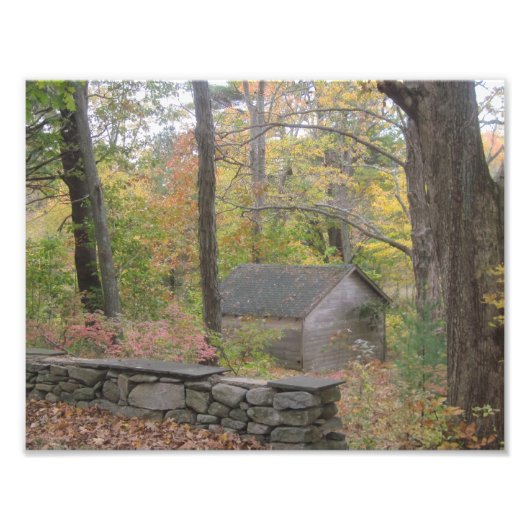 Herfst in New England Foto afdrukken (Voorkant)