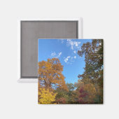 Herfst in New England Magneet (Voorkant / Achterkant)