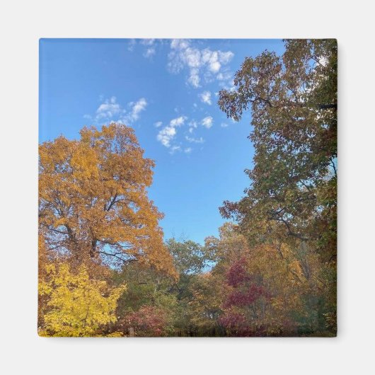 Herfst in New England Magneet (Voorkant)