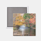 Herfst in New England Magneet (Voorkant / Achterkant)