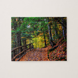 Herfst in New England Puzzle Legpuzzel