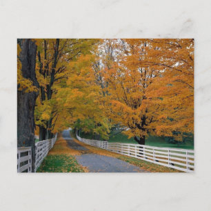 Herfst in New Hampshire Briefkaart