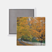 Herfst in New Hampshire Magneet (Voorkant / Achterkant)