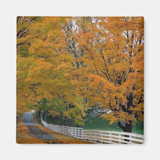 Herfst in New Hampshire Magneet (Voorkant)