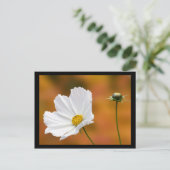 Herfst in North Conway New Hampshire Briefkaart (Staand voorkant)