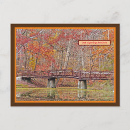 HERFST IN OAK OPENINGS PRESERVE, TOLEDO OHIO AREA BRIEFKAART