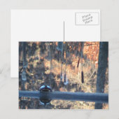 Herfst in Ohio Briefkaart (Voorkant / Achterkant)