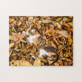 Herfst in omloop in omloop in Calico Cat Foto Legpuzzel