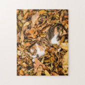 Herfst in omloop in omloop in Calico Cat Foto Legpuzzel (Verticaal)