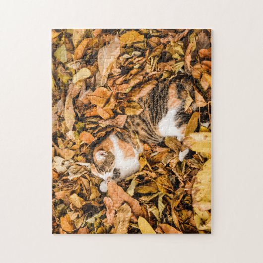 Herfst in omloop in omloop in Calico Cat Foto Legpuzzel (Verticaal)